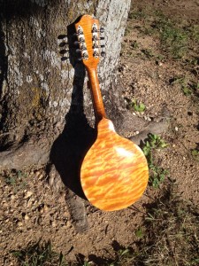 10659205_10204782737630575_5231132563240435391_n-225x300