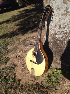 10703836_10204782729390369_3637415342181636112_n-225x300